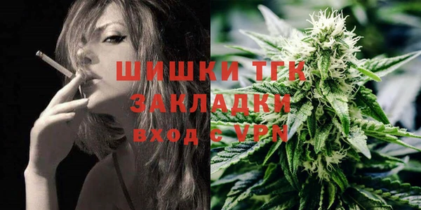 спиды Богородск