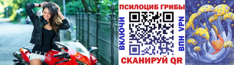 Купить где  Гаджиево  Галлюциногенные грибы Magic Shrooms 