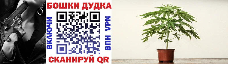 Шишки марихуана гибрид  Купить где  Гаджиево 